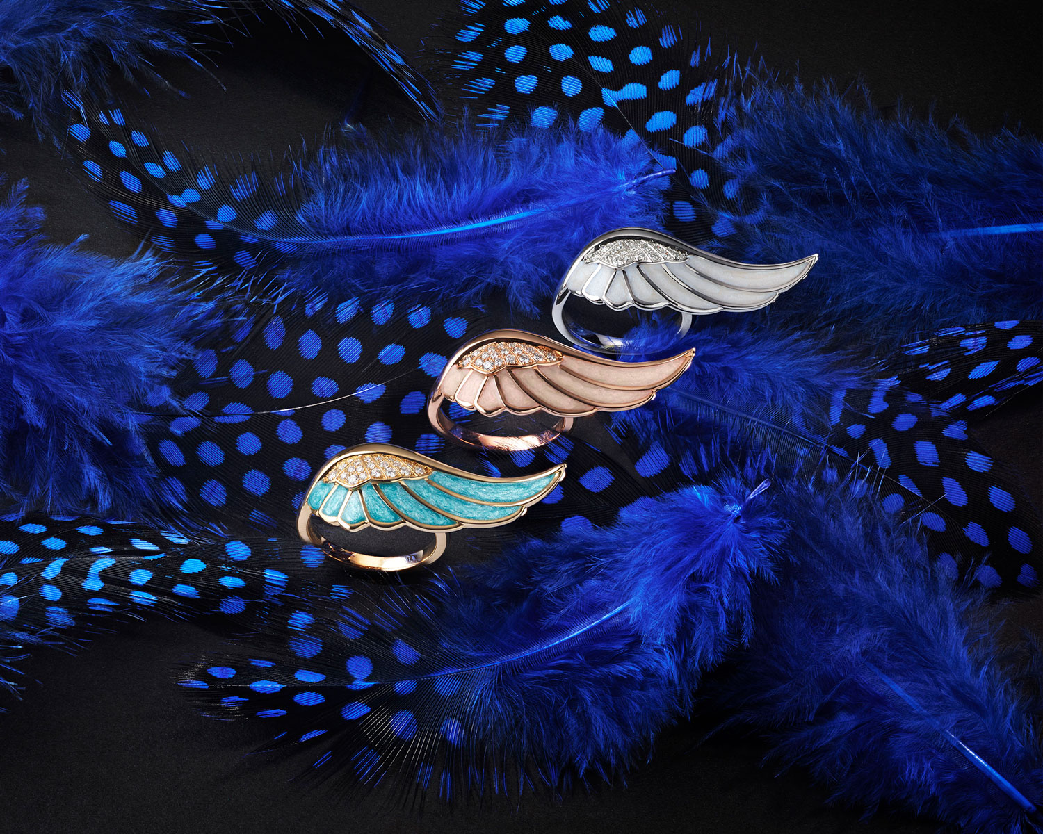 Three Garrard Wings Reflection jewellery collection Enamel rings on feather